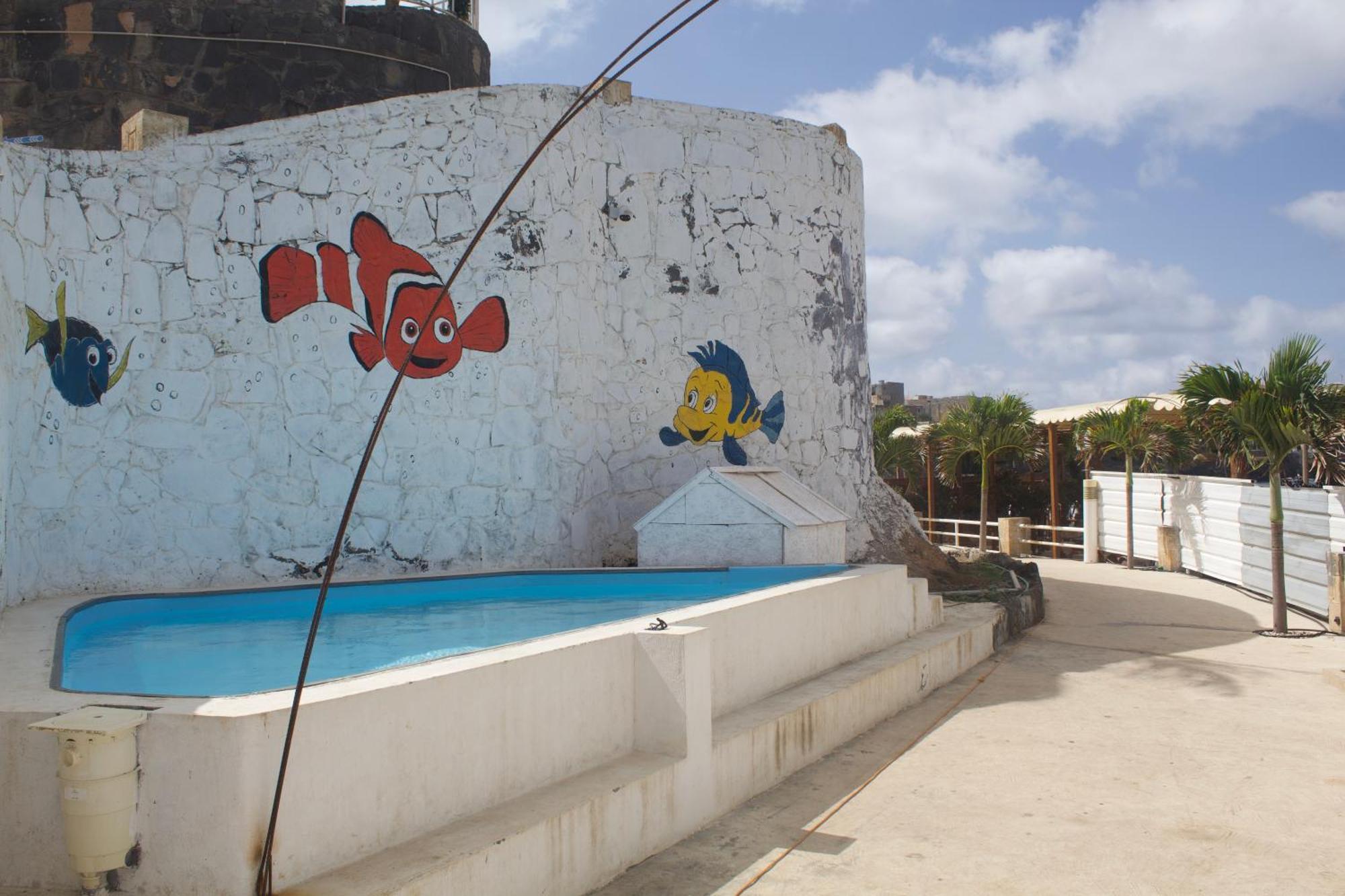 Falucho Paradise Beach Pedra Badejo  外观 照片